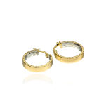 Kolczyki złote pr.585 kółka