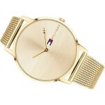 Zegarek Tommy Hilfiger 1781972 Alex