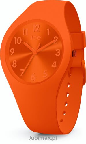 Zegarek Ice Watch 017910 Colour Tango Small
