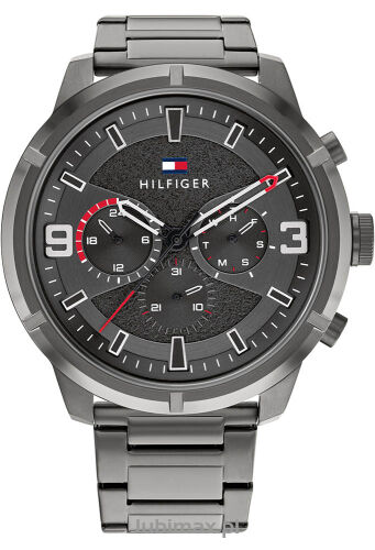 Zegarek Tommy Hilfiger 1792071 Wild
