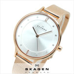 Zegarek SKAGEN SKW2151