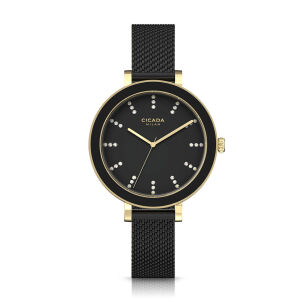 Zegarek Cicada G36B06.B2 Rustico Vetro Glass