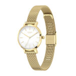 Zegarek Cicada G26G04.WG Milan Parma