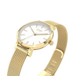 Zegarek Cicada G26G04.WG Milan Parma