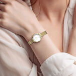 Zegarek Cicada G26G04.WG Milan Parma - 5