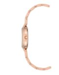 Zegarek ANNE KLEIN AK-3070MPRG