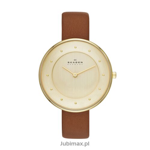 Zegarek SKAGEN SKW2138