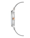 Zegarek ANNE KLEIN AK-3223SMRT