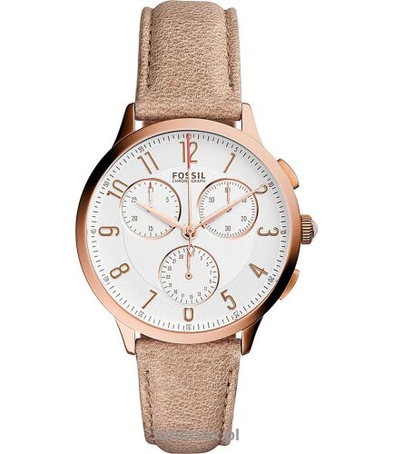 Zegarek FOSSIL CH3016