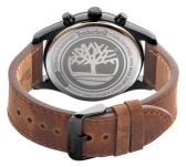 Zegarek Timberland TBL.TDWGF2100402 Demarest