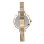 Zegarek ANNE KLEIN AK-2988CHGB