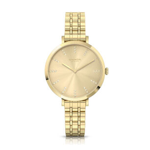 Zegarek Cicada G34G1B.G2 Botticino Oro