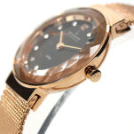 Zegarek SKAGEN 456SRR1