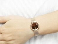 Zegarek SKAGEN 456SRR1